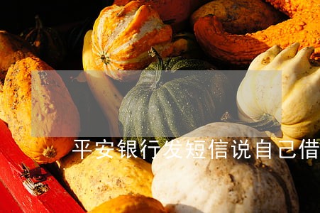 平安银行发短信说自己借款逾期 平安银行发短信说自己借款逾期