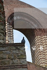 平安银行只还本金可以吗