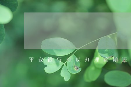 平安银行可以办理逾期还款吗？