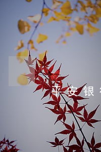 平安银行可以逾期多久 平安银行可以逾期多久
