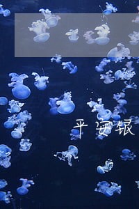 平安银行备用金逾期2万 平安银行备用金逾期2万