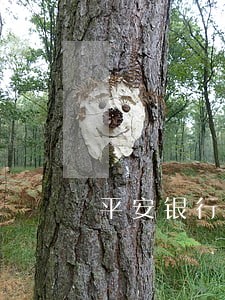 平安银行备用金逾期违约金 平安银行备用金逾期违约金