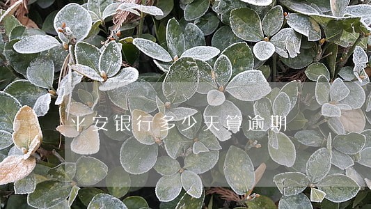 平安银行多少天算逾期 平安银行多少天算逾期