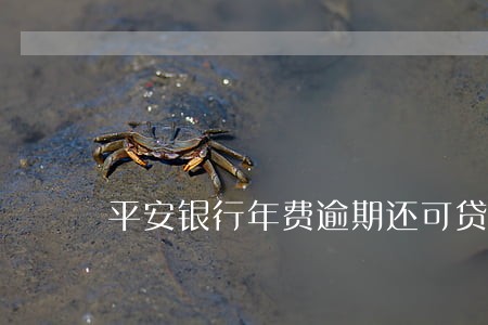 平安银行年费逾期还可贷款吗 平安银行年费逾期还可贷款吗