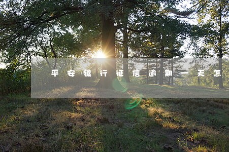 平安银行征信逾期一天怎么撤销 平安银行征信逾期一天怎么撤销