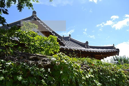 平安银行忘记还款逾期违约金 平安银行忘记还款逾期违约金