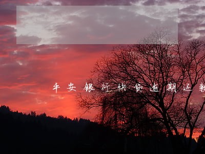 平安银行快贷逾期还款后果 平安银行快贷逾期还款后果