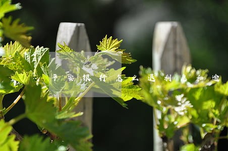 平安银行怎么退利息和逾期 平安银行怎么退利息和逾期