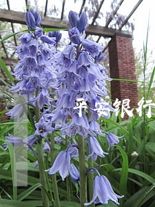 平安银行找关系撤销逾期 平安银行找关系撤销逾期