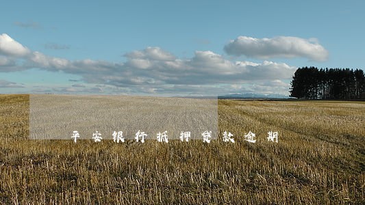 平安银行抵押贷款逾期 平安银行抵押贷款逾期