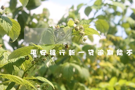 平安银行新一贷逾期能不接电话吗 平安银行新一贷逾期能不接电话吗