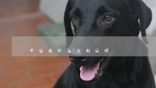 平安银行无逾期证明 平安银行无逾期证明