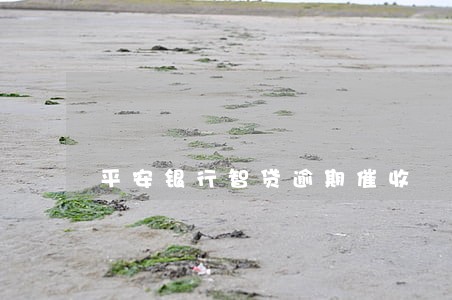 平安银行智贷逾期催收 平安银行智贷逾期催收