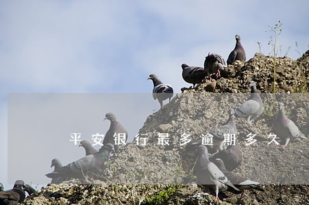 平安银行最多逾期多久 平安银行最多逾期多久
