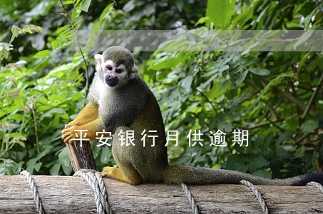 平安银行月供逾期 平安银行月供逾期