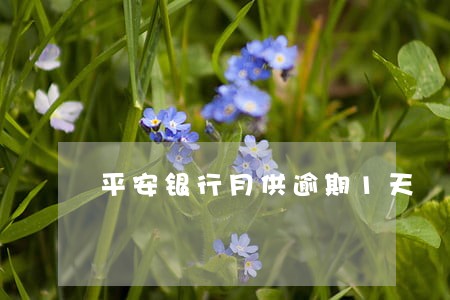 平安银行月供逾期1天 平安银行月供逾期1天