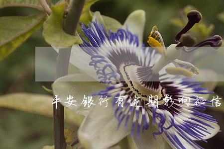 平安银行有逾期影响征信吗 平安银行有逾期影响征信吗