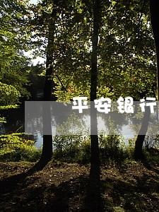 平安银行每月逾期几天上征信 平安银行每月逾期几天上征信