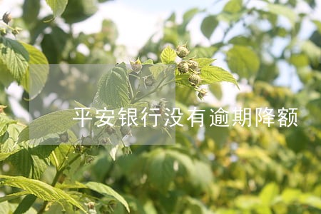 平安银行没有逾期降额 平安银行没有逾期降额