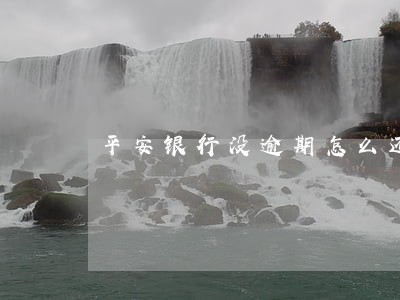 平安银行没逾期怎么还本金 平安银行没逾期怎么还本金