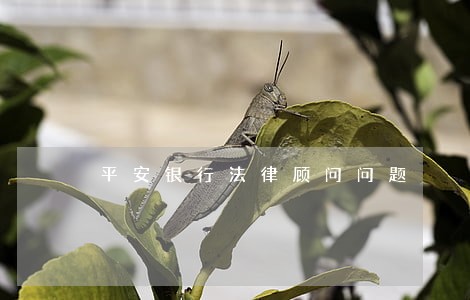 平安银行法律顾问问题 平安银行法律顾问问题