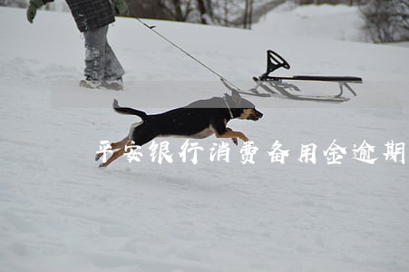 平安银行消费备用金逾期多久 平安银行消费备用金逾期多久