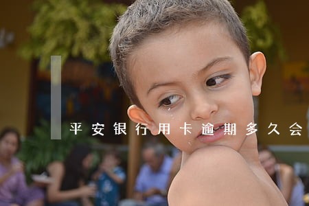 平安银行用卡逾期多久会上征信 平安银行用卡逾期多久会上征信