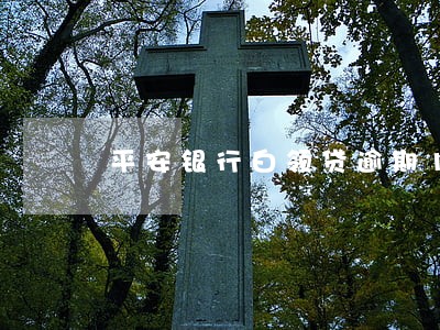 平安银行白领贷逾期10天 平安银行白领贷逾期10天
