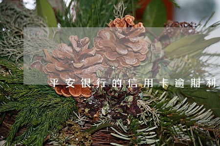 平安银行的信用卡逾期利率