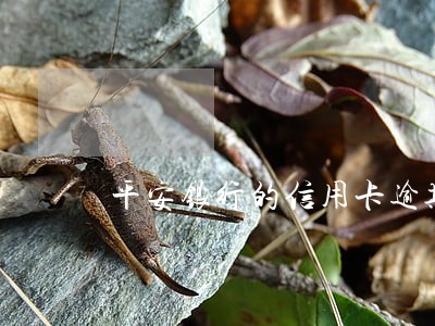 平安银行的信用卡逾期怎么办