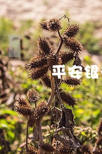 平安银行的房贷逾期一天怎么办 平安银行的房贷逾期一天怎么办