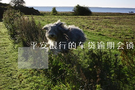 平安银行的车贷逾期会锁车吗