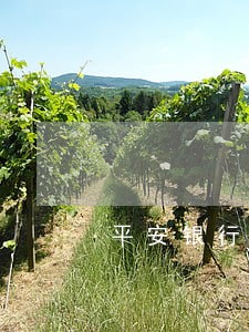 平安银行的逾期案件短信 平安银行的逾期案件短信