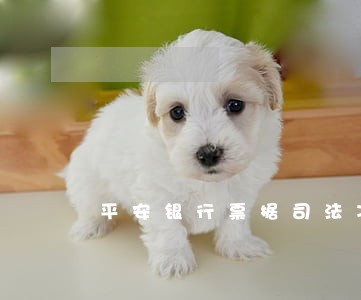 平安银行票据司法冻结