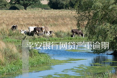 平安银行网贷严重逾期 平安银行网贷严重逾期