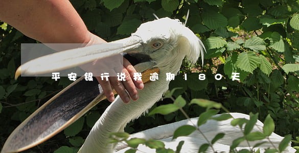 平安银行说我逾期180天 平安银行说我逾期180天