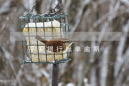 平安银行账单逾期 平安银行账单逾期
