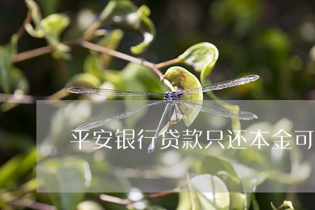 平安银行贷款只还本金可以吗 平安银行贷款只还本金可以吗