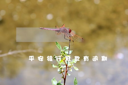 平安银行贷款有逾期
