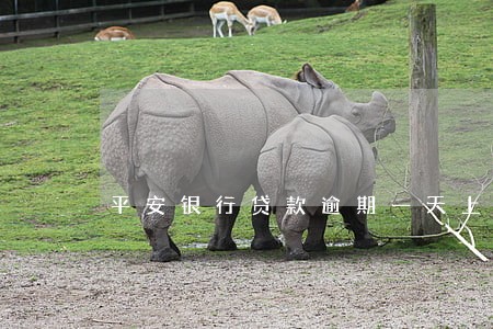 平安银行贷款逾期一天上征信吗 平安银行贷款逾期一天上征信吗