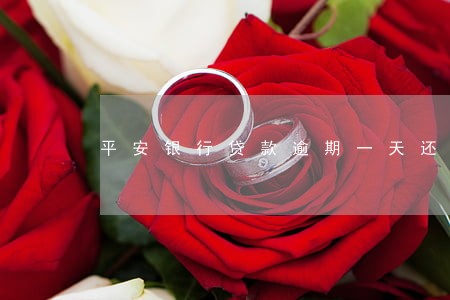 平安银行贷款逾期一天还款 平安银行贷款逾期一天还款