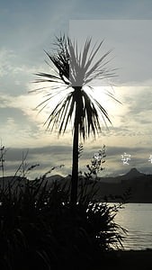 平安银行贷款逾期一年没起诉 平安银行贷款逾期一年没起诉
