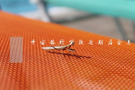 平安银行贷款逾期后会怎样 平安银行贷款逾期后会怎样