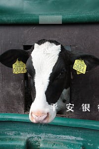 平安银行贷款逾期案件 平安银行贷款逾期案件