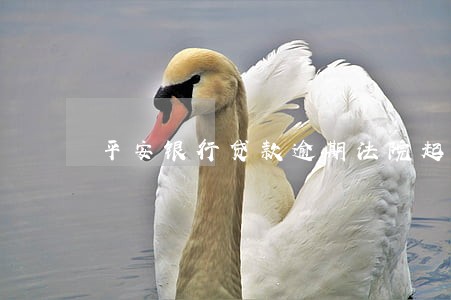 平安银行贷款逾期法院起诉 平安银行贷款逾期法院起诉