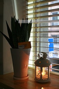 平安银行贷款逾期能减免吗