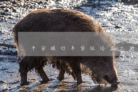 平安银行车贷征信显示逾期 平安银行车贷征信显示逾期