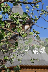 平安银行车贷晚还一天算不算逾期