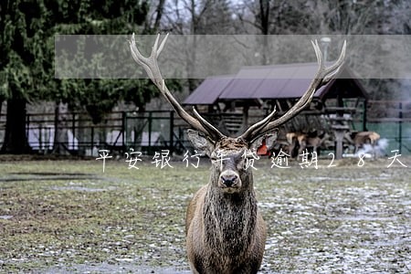 平安银行车贷逾期28天