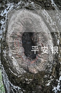 平安银行车贷逾期一天有影响吗 平安银行车贷逾期一天有影响吗